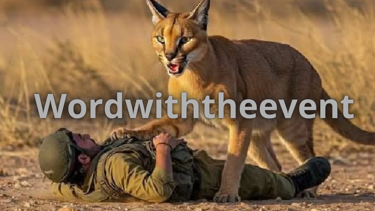 The Egyptian lynx that attacked Israeli soldiers... and the Egyptian pharaohs