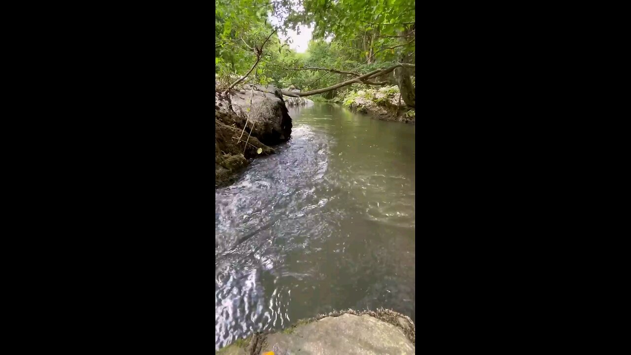 Su Değirmeni ile Dere Akıntısında Tavuk Çevirme 🐔 Cooking Chicken in a Stream With a Watermill