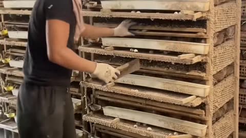 🤯🛠 Watch This Tool In Action! | FeedMyCuriosity