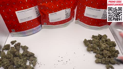 These 3 Supremes from Lit Farms are Fire! Mrs Dank Flamingo!!