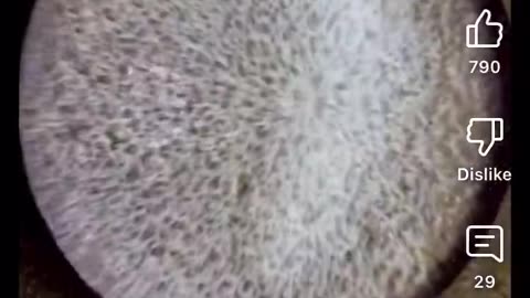 Be water: Cymatics
