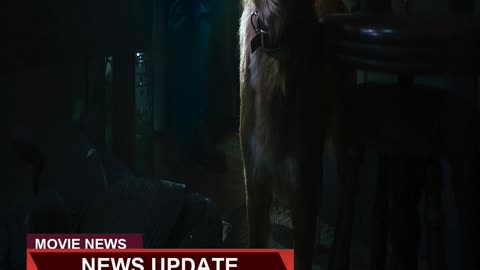 Good Boy Trailer Ifc Films Horror Pic Debuts F