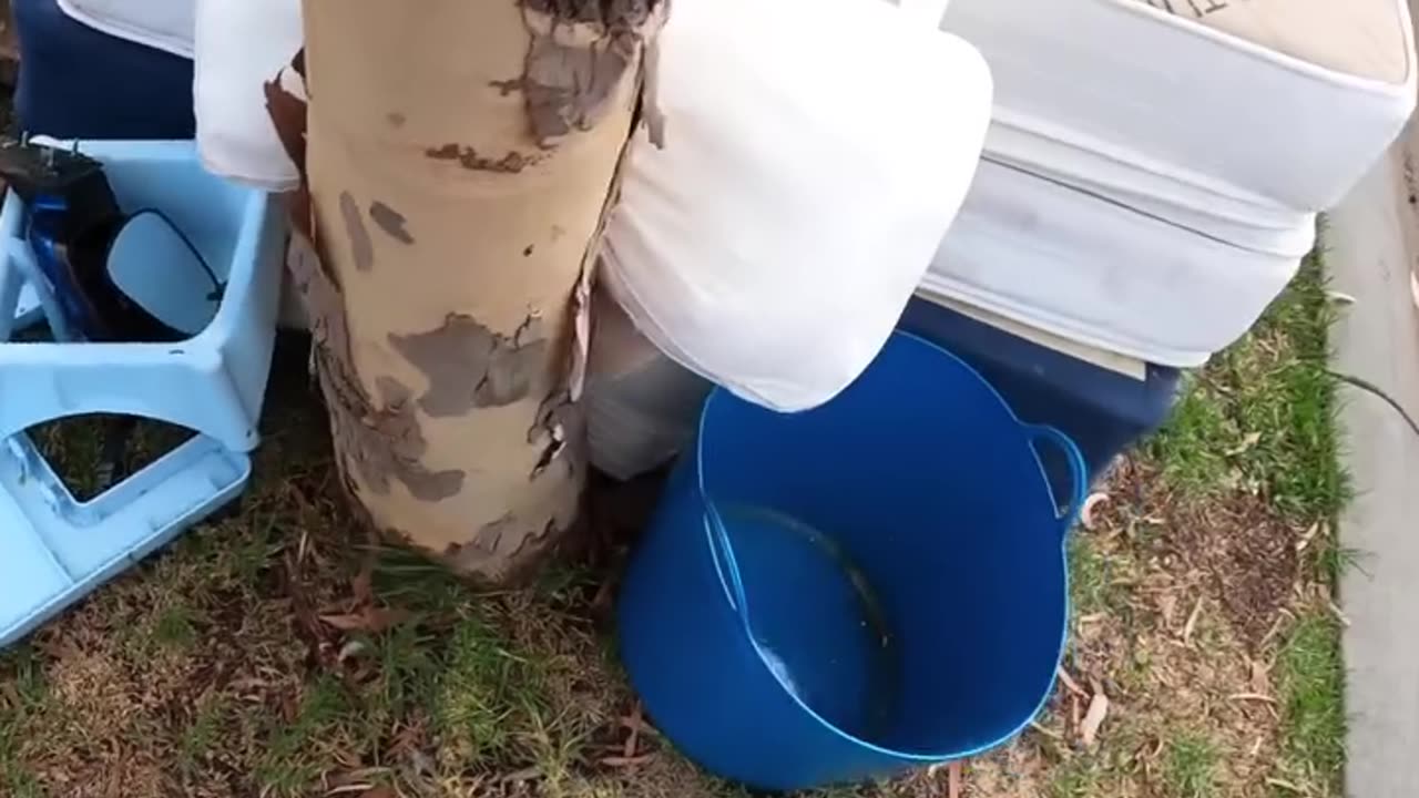 Take the bucket dummy