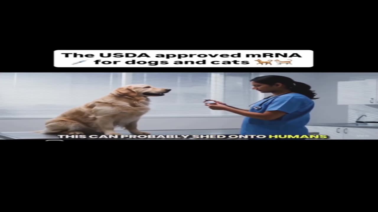 Vets Are Using Self Amplifying MRNA Injections on Pets