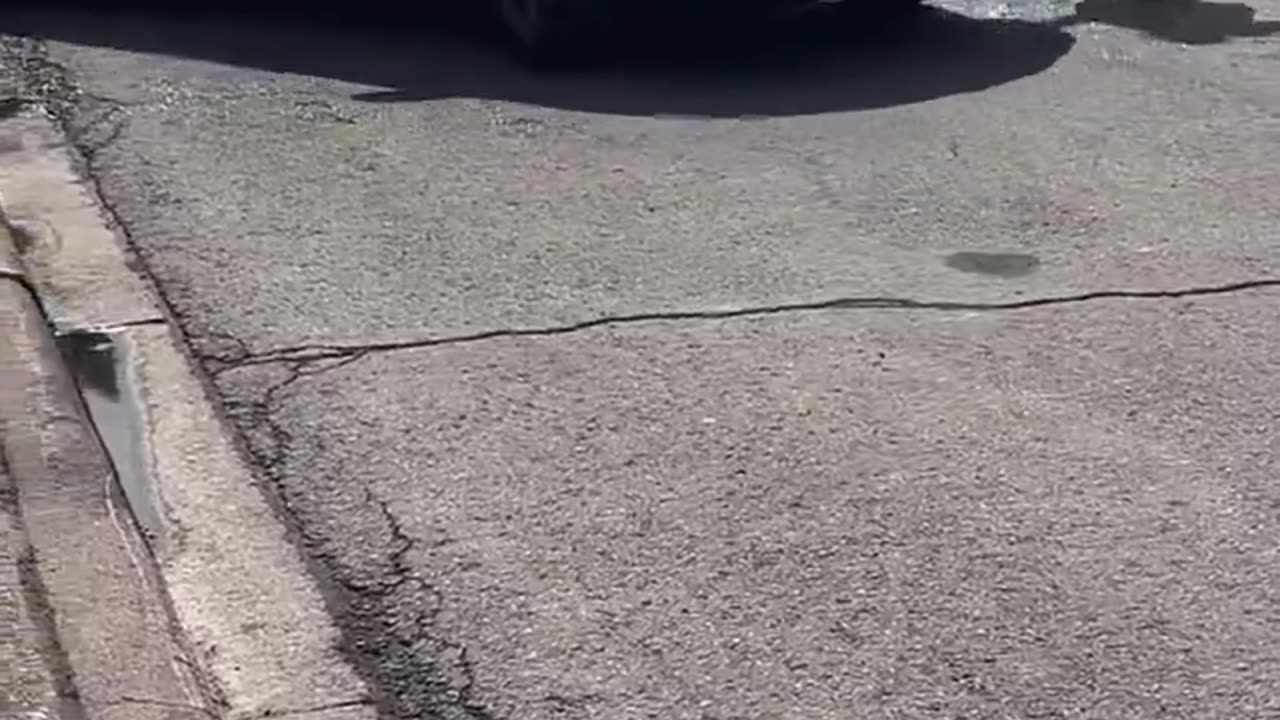 You can have a functionaӏ civiӏization or you can them..