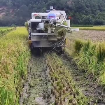 जब समय खराब चल रहा हो तो इसे सुन लेना