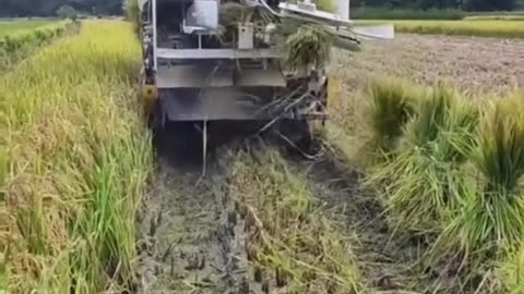 जब समय खराब चल रहा हो तो इसे सुन लेना