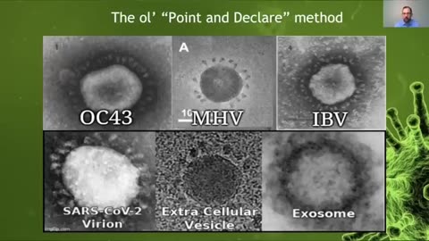 Virology on Trial -- Dr. Stefan Lanka