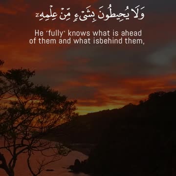 Ayat al-Kursi | Most Powerful Verse in the Qur’an | Beautiful Recitation & Translation | Al Qamar