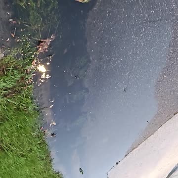 Pinellas Park Misappropriates Storm Drainage Tax $