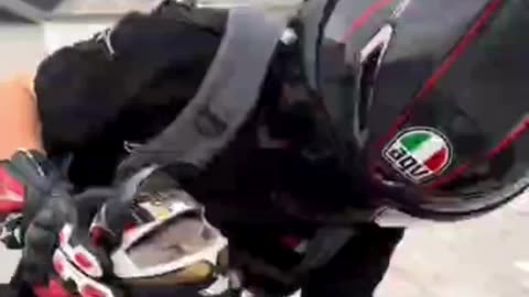 Funny Pet Adventure | Viral Animal Duo #Shorts"