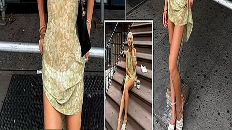 Iris Law Puts on a Racy Display in a Sheer Chiffon