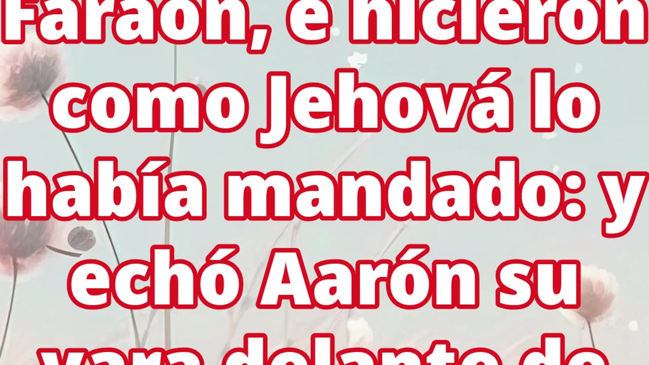 "La Vara de Aarón: Señal del Poder de Dios ante Faraón" Exodus 7:9,10 #shorts #youtubeshorts #ytshor