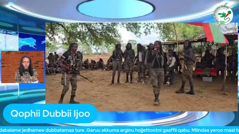 Qophii Dubbii Ijoo ONM-ABO Caamsaa 14-2025 itti dhiyaadhaa!