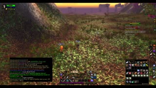 Turtle wow - Melee HC Slow and Steady Hunter - Part 34 - No commentary