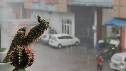 Daily Horoscope | Scorpio 🌟