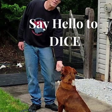 Dice Lesson One The "LURE" Say Hello to "Dice".