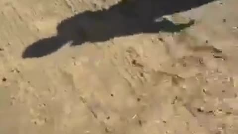 Getting Wife Home Safely