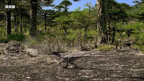 Animals cast left 03:54