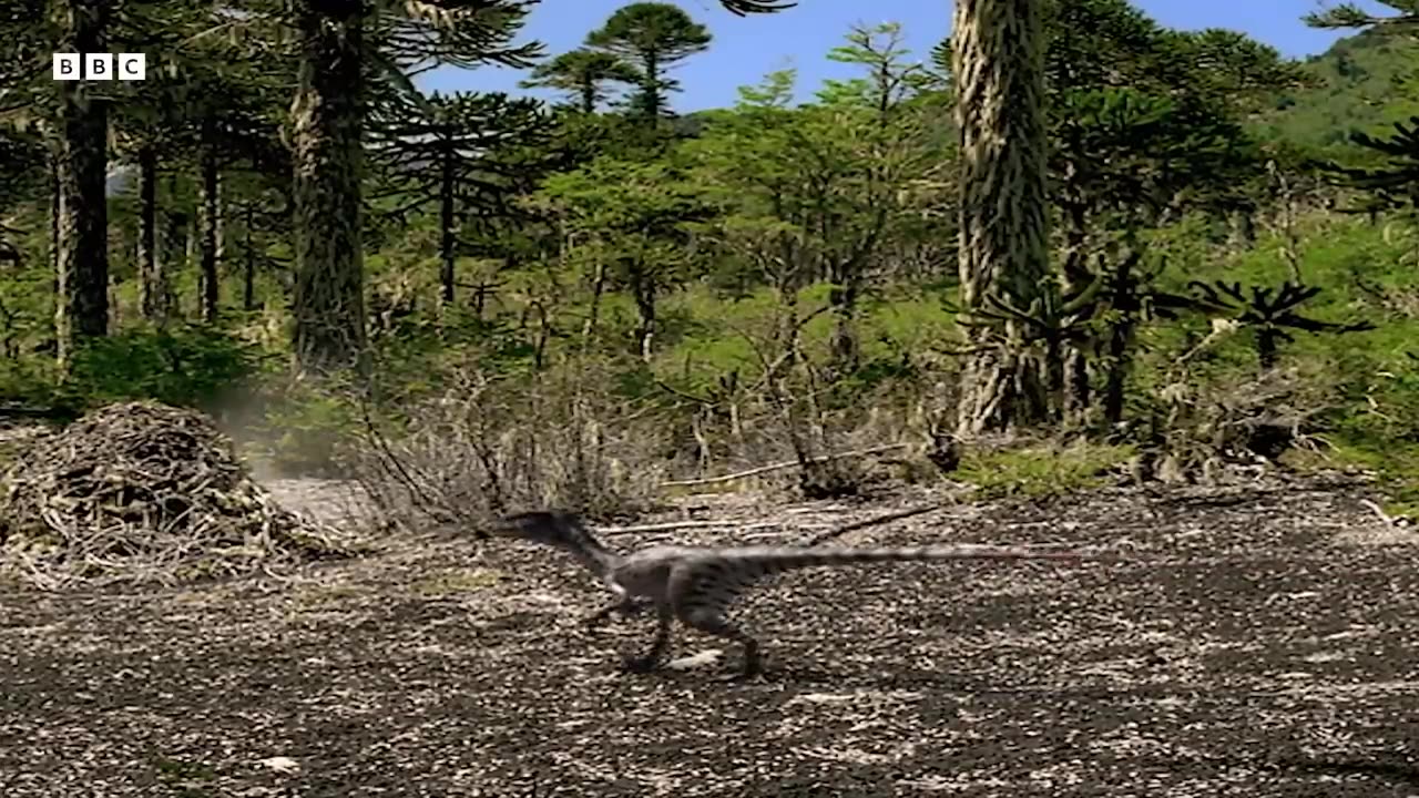 Animals cast left 03:54