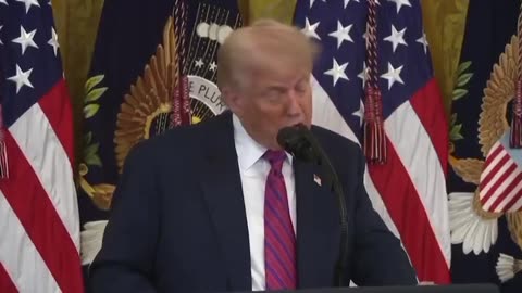 PRESIDENT DONALD TRUMP DECLARES NEW FEDERAL PAYMENT SYSTEM USING BLOCKCHAIN