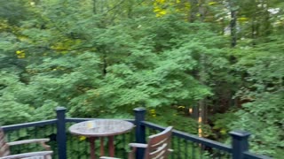August 24, 2025 - Morning Glory