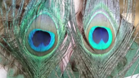 Peacock Feather Sweeping ASMR Relaxing Whisper Feathers Energy Healing Sleep