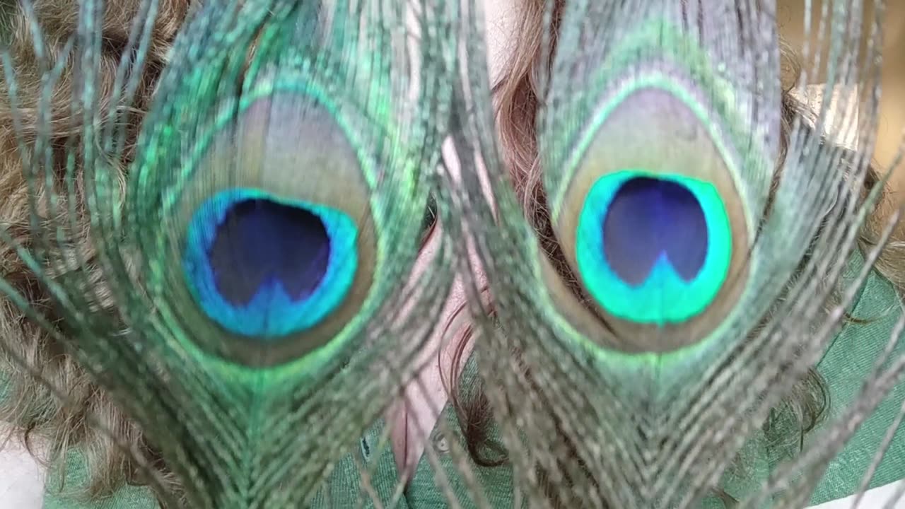 Peacock Feather Sweeping ASMR Relaxing Whisper Feathers Energy Healing Sleep