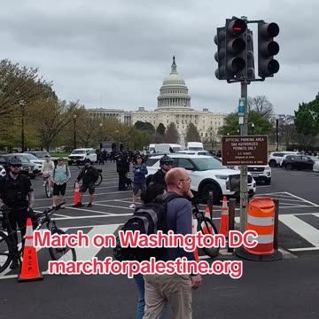 HUGE Palestine flag at the National March in Washington DC.
