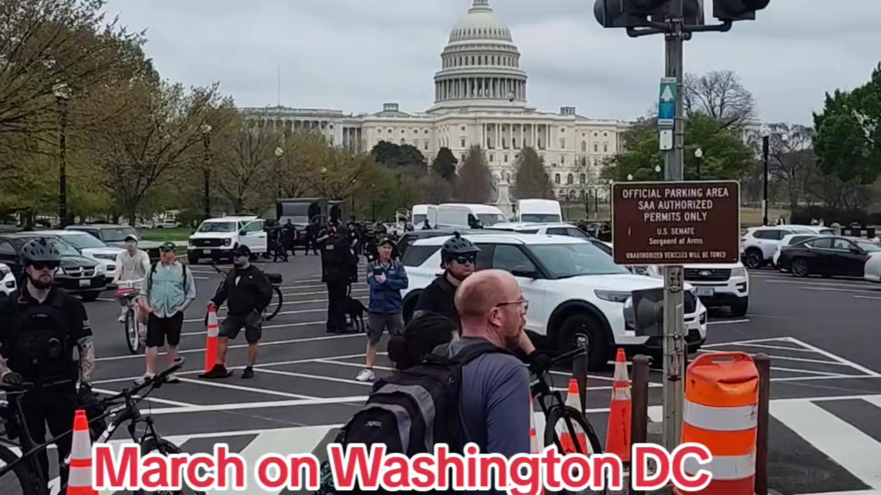 HUGE Palestine flag at the National March in Washington DC.