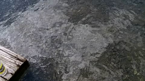 Swimming at Blue Cove- I found a crutch underwater