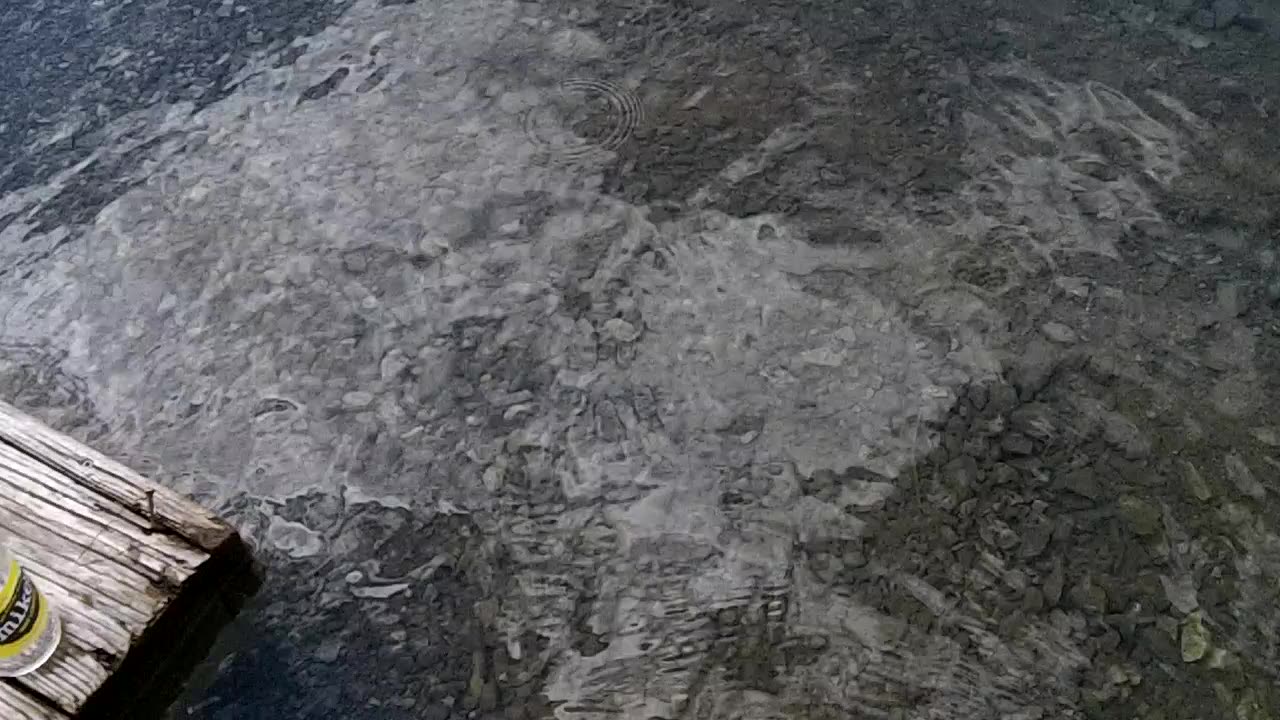 Swimming at Blue Cove- I found a crutch underwater