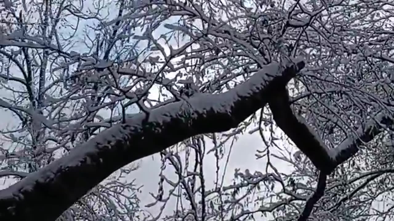 🎄December 25 2020🎄