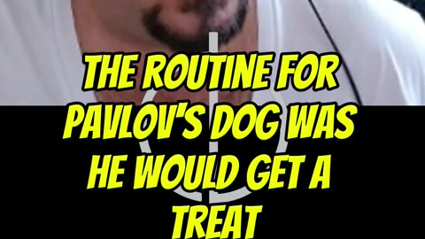 How Pavlov’s Dog Reveals the Secret to Rewiring Your Mind