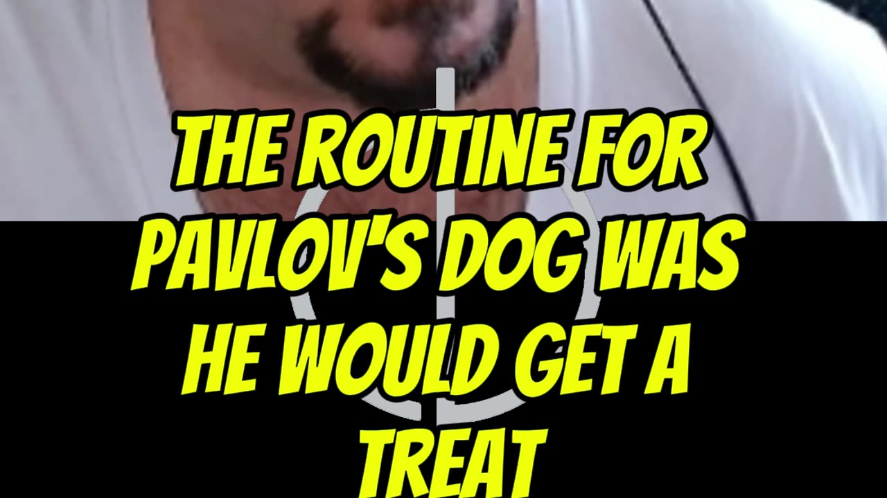 How Pavlov’s Dog Reveals the Secret to Rewiring Your Mind