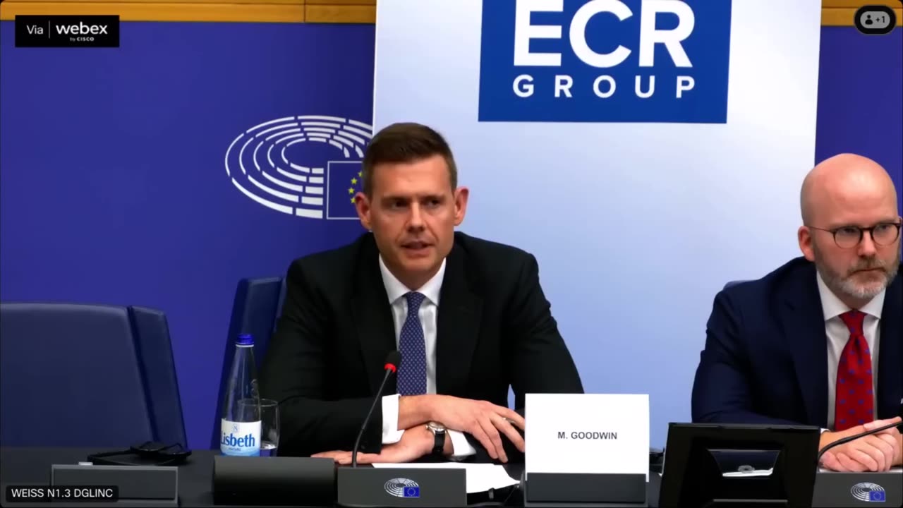 My speech in the European Parliament - Matt Goodwin