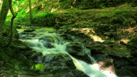 3M TV 🌿 Stream Water Flow, Deep Green Forest 🌊 Sleep, Relax, Chill & Wild Ocean Sounds 🌊