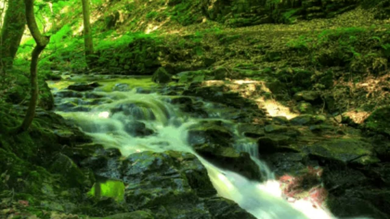 3M TV 🌿 Stream Water Flow, Deep Green Forest 🌊 Sleep, Relax, Chill & Wild Ocean Sounds 🌊