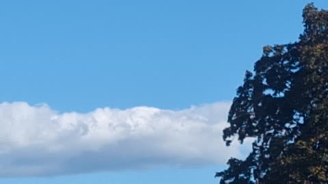 "Clouds", not real, fake