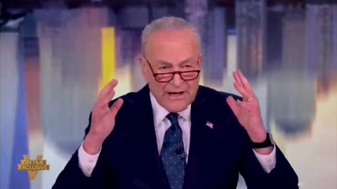 Chuck Schumer says that he sometimes wakes up at 3 in the morning to think about Elon Musk