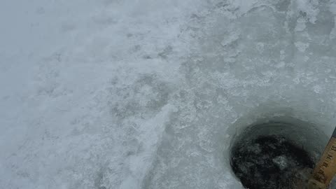 Winter Freeze Up - Ep. 9 December 31, 2025