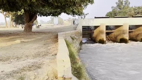 Dadu Canal Regulator #maxrecords #villagelife #larkana #sindh #pakistan