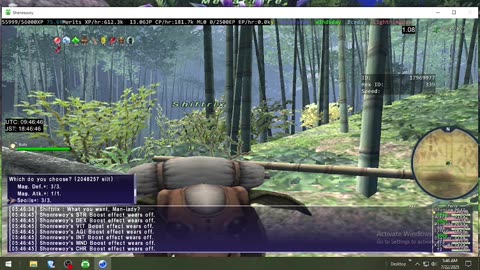 Playing Final Fantasy XI Online