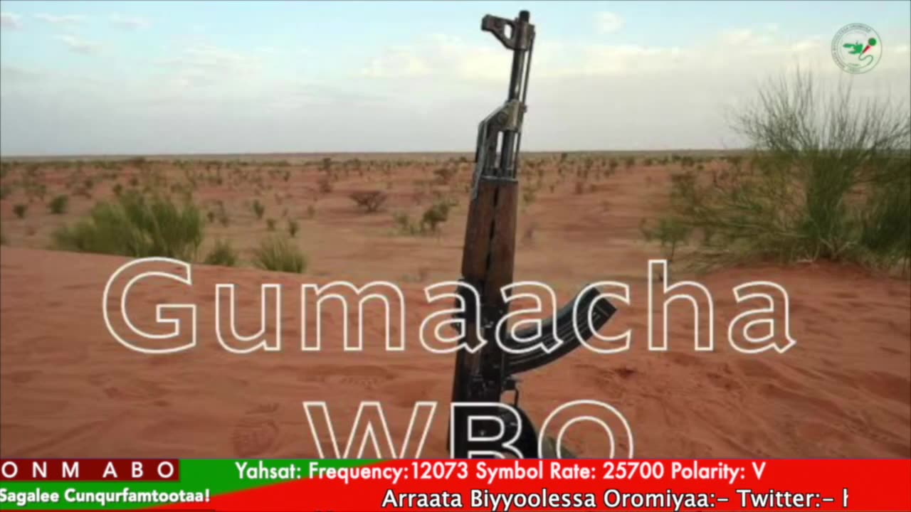 Gabaasa Gumaacha ONM-ABO Caamsaa 14-2025 itti dhiyaadhaa!