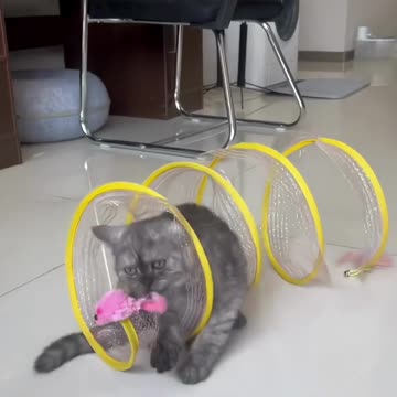 Cat Adventure Tunnel Playful Hide Seek Toy