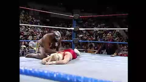 WWF Superstars April 10, 1993