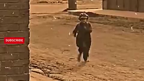 King of funny video's