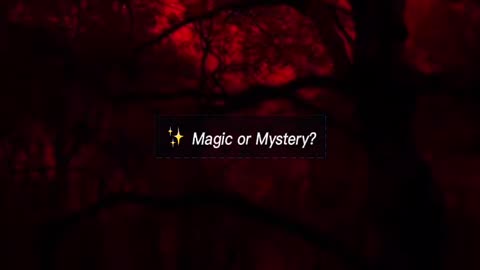 The Tree That Bleeds Red 🩸 Dragon’s Blood Tree Mystery ✨