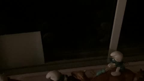 😱👁️ That Isn't Rain... What Is It? Unsettling Mystery Revealed! | TheHauntingHour