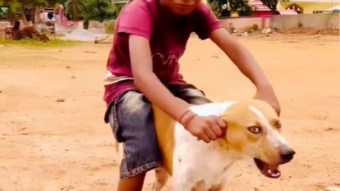 Funny video